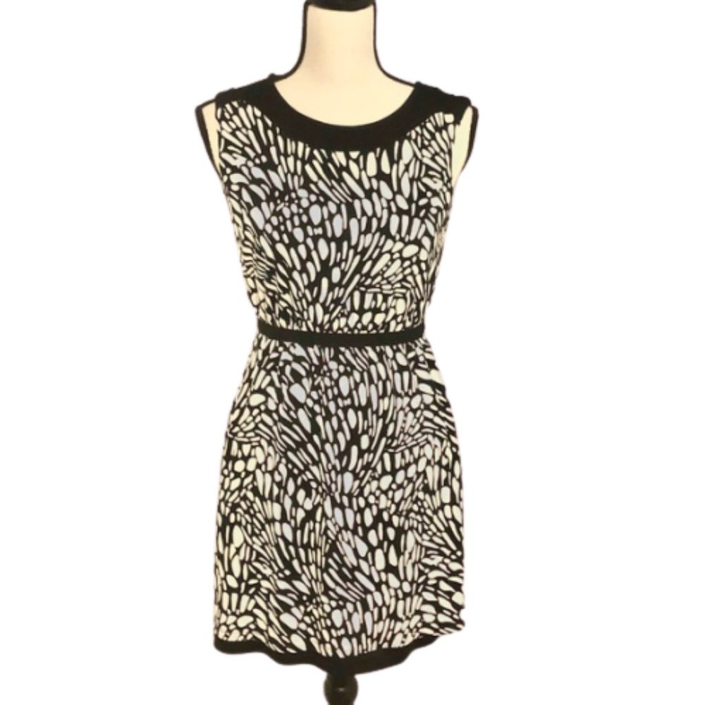 Cute & Professional Ann Taylor Work Dress